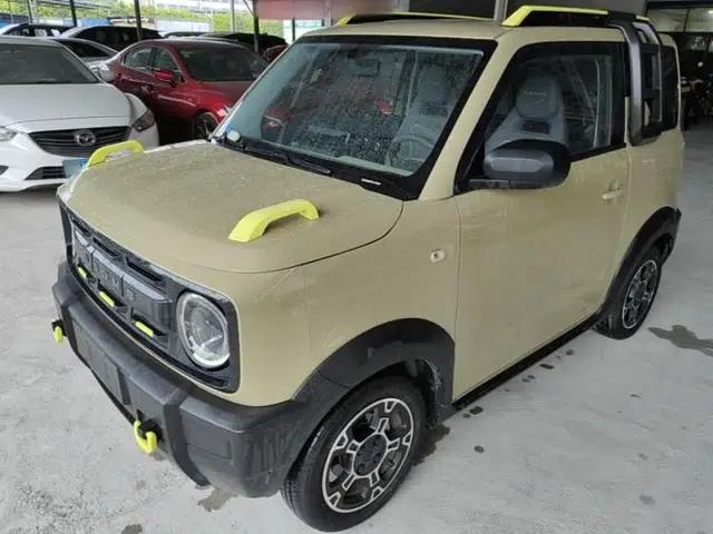 Geely Galaxy Panda 2024 200km Panda Rider