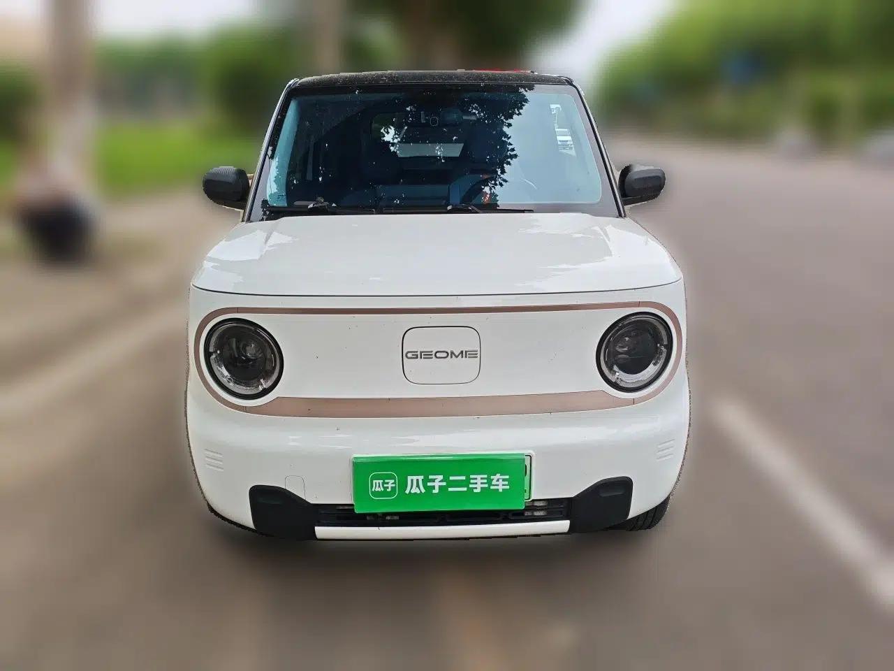 Geely Galaxy Panda 2023 Panda Mini 200km Endurance Bear — миниатюра 2
