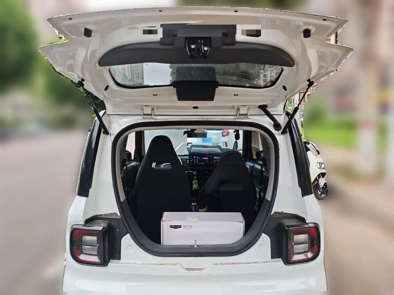 Geely Galaxy Panda 2023 Panda Mini 200km Endurance Bear — миниатюра 19