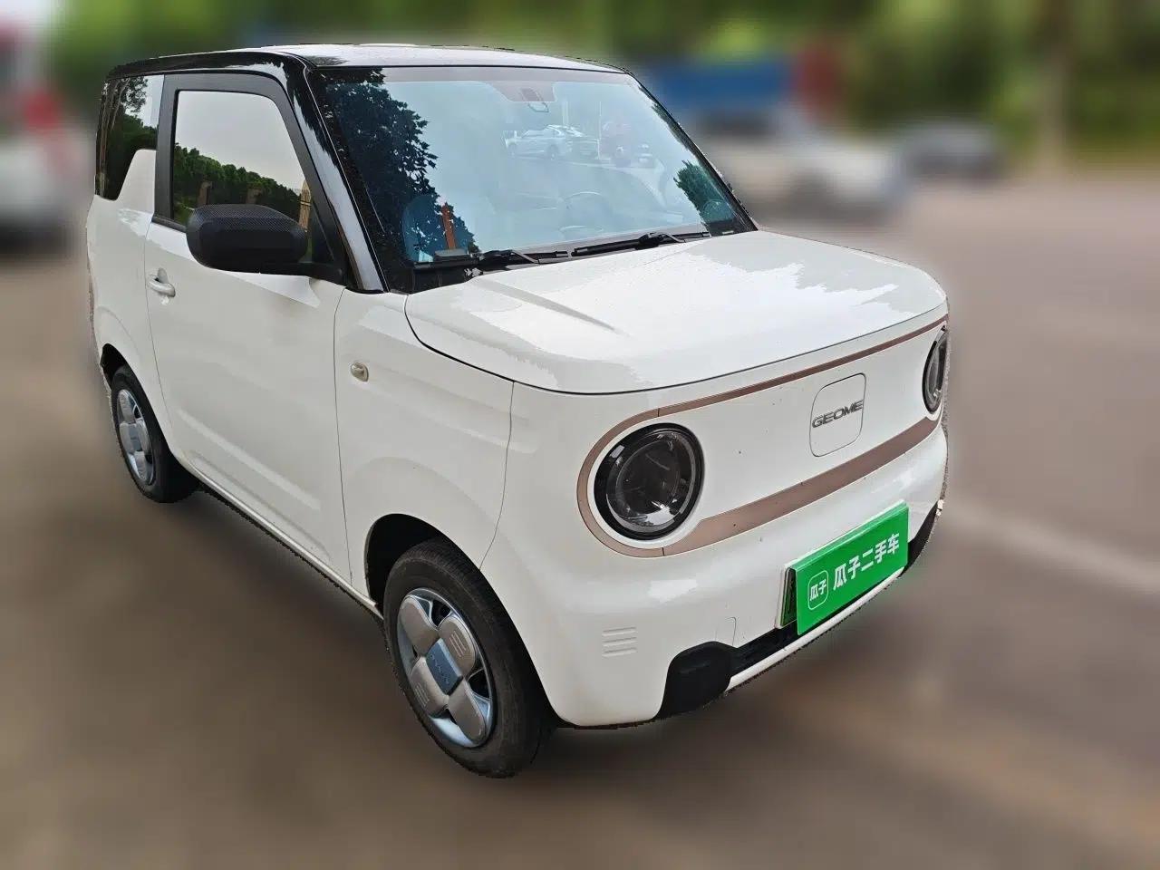 Geely Galaxy Panda 2023 Panda Mini 200km Endurance Bear — миниатюра 3
