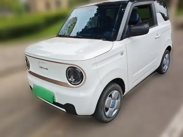 Geely Galaxy Panda 2023 Panda Mini 200km Endurance Bear