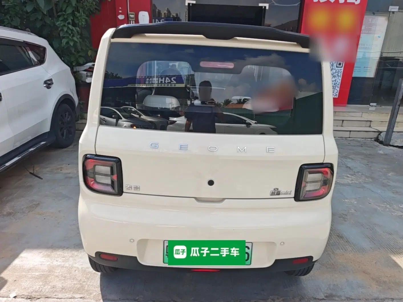 Geely Galaxy Panda 2025 210 km – Yuanqi Bear — миниатюра 5