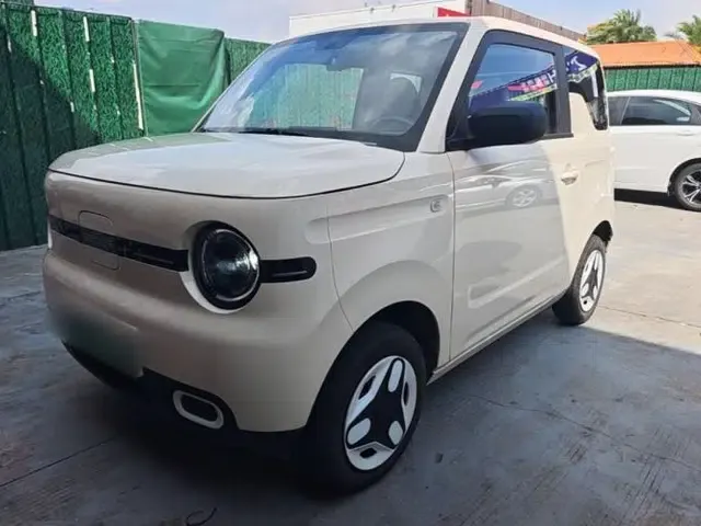 Geely Galaxy Panda 2025 210 km – Yuanqi Bear