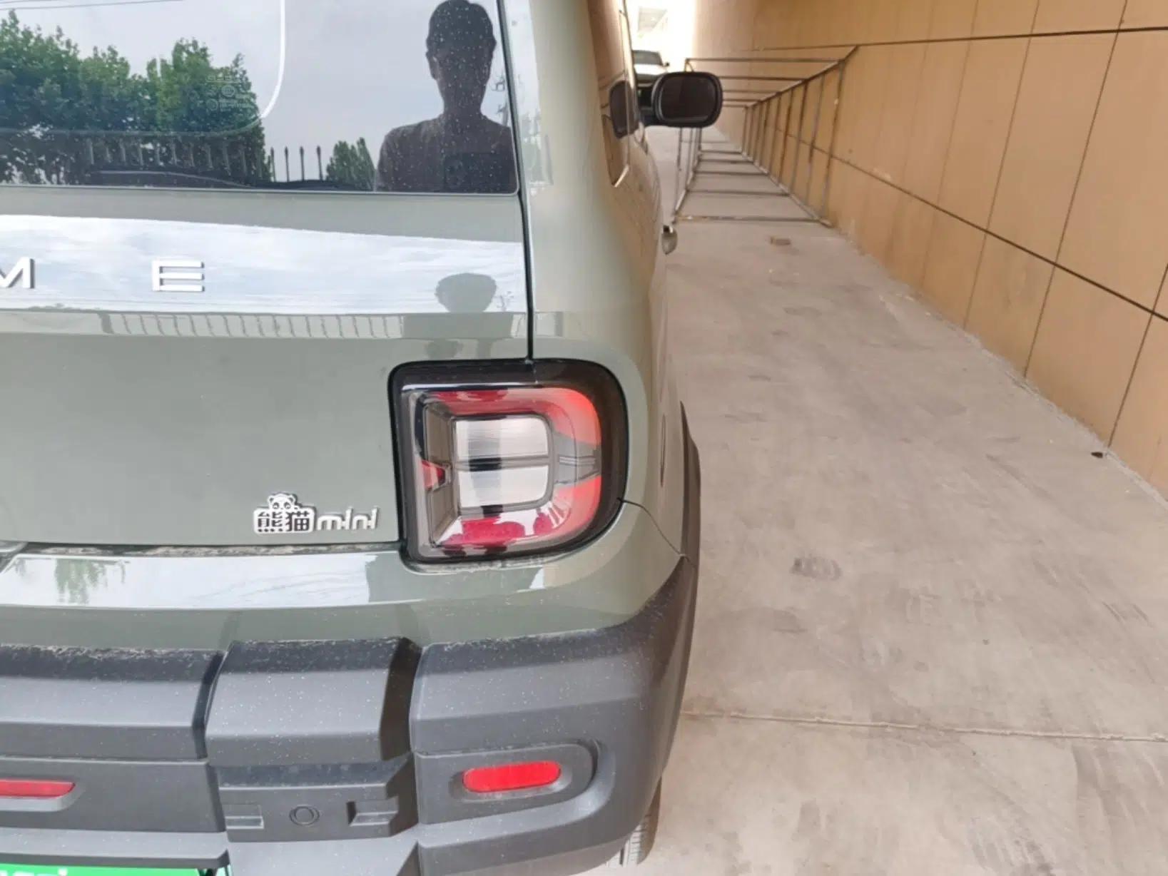 Geely Galaxy Panda 2025 210km Panda Rider — миниатюра 9