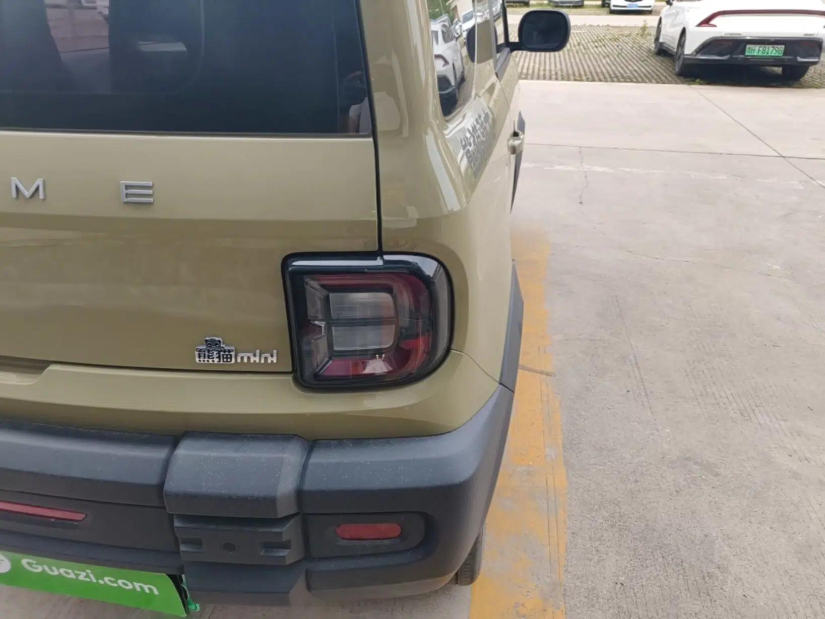 Geely Galaxy Panda 2025 210km Panda Rider — миниатюра 9