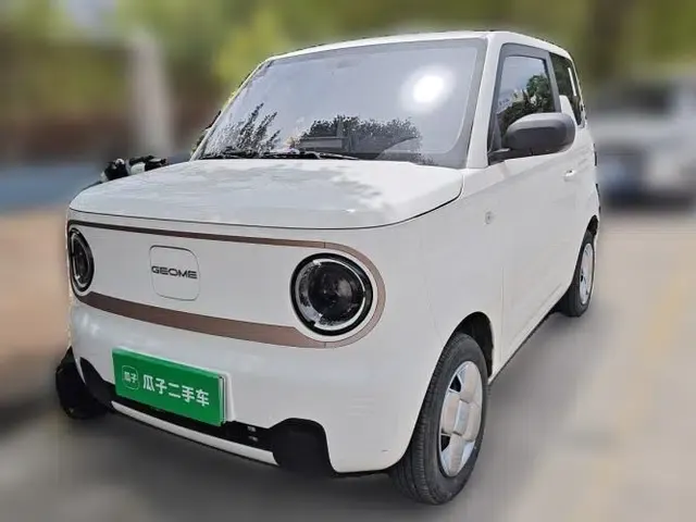 Geely Galaxy Panda 2023 Panda Mini 200km Endurance Bear