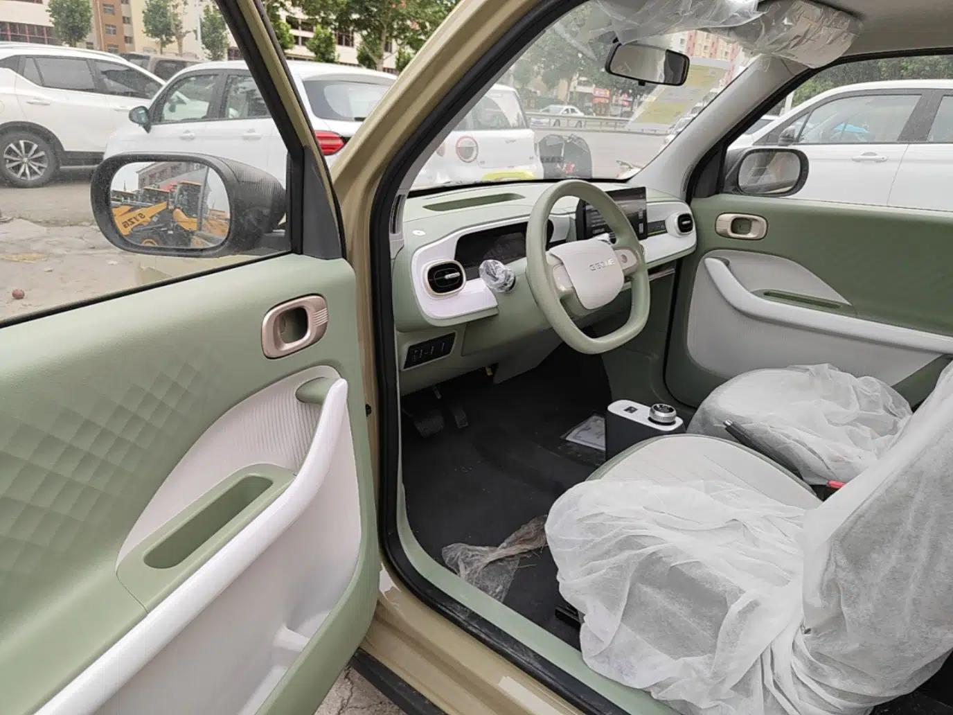 Geely Galaxy Panda 2025 210km Panda Rider — миниатюра 18