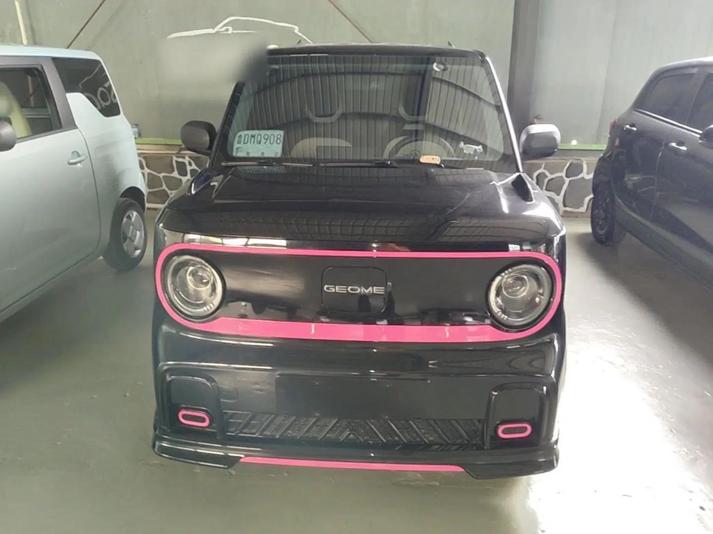 Geely Galaxy Panda 2025 210km Panda Kart — миниатюра 2