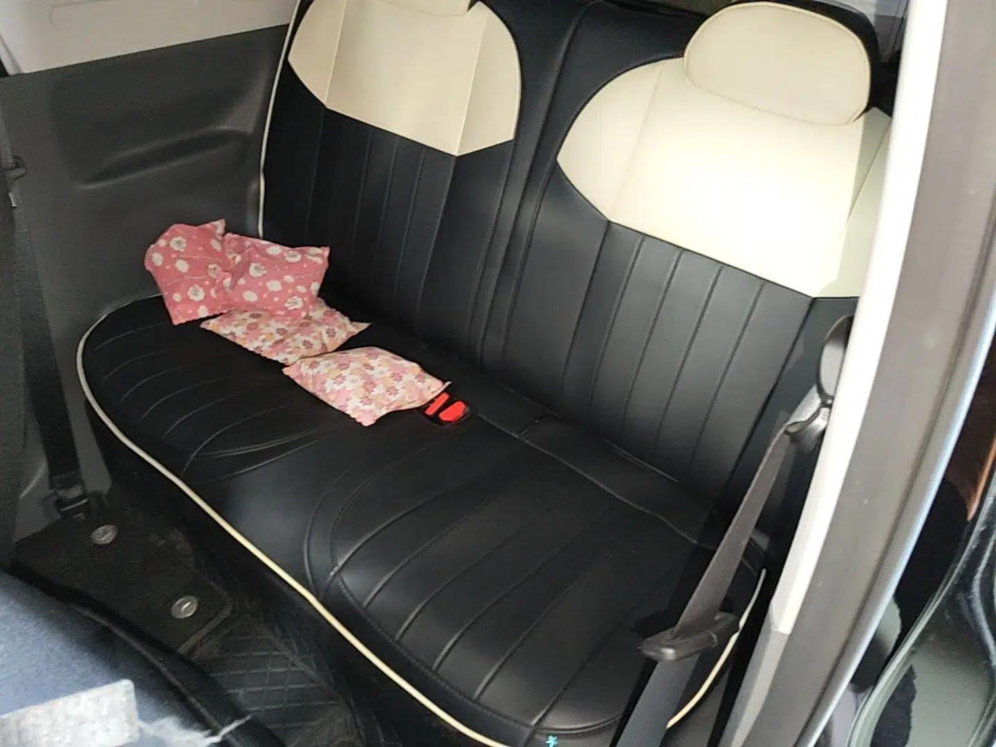 Geely Galaxy Panda 2025 210km Panda Kart — миниатюра 20