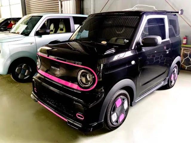 Geely Galaxy Panda 2025 210km Panda Kart