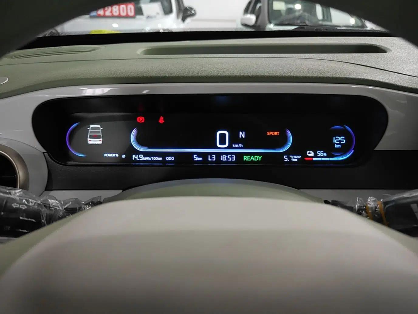 Geely Galaxy Panda 2025 210km Panda Rider — миниатюра 14