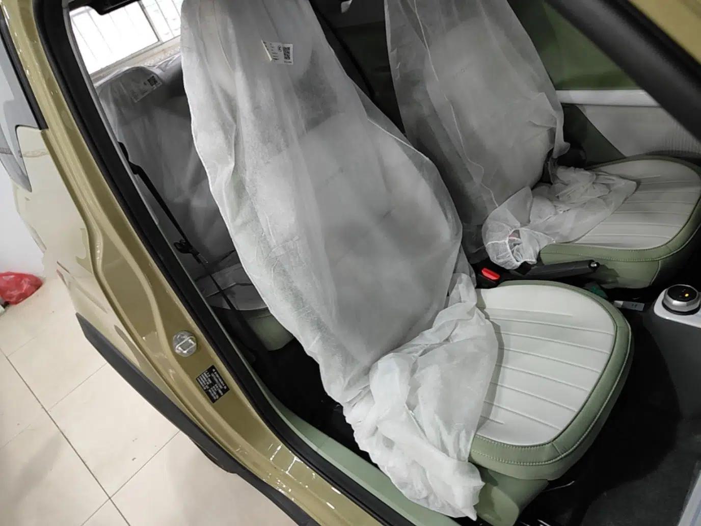 Geely Galaxy Panda 2025 210km Panda Rider — миниатюра 19