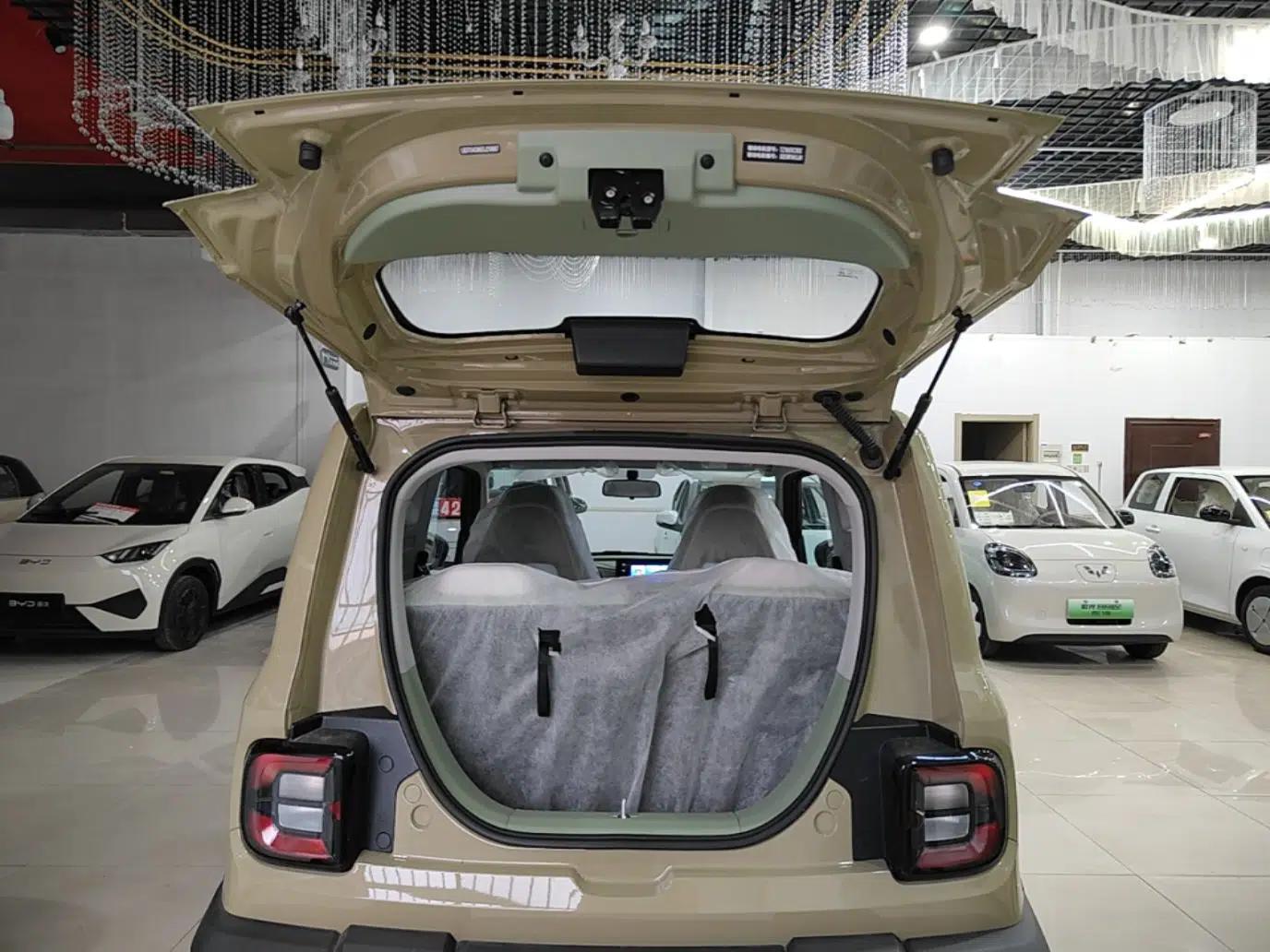 Geely Galaxy Panda 2025 210km Panda Rider — миниатюра 22