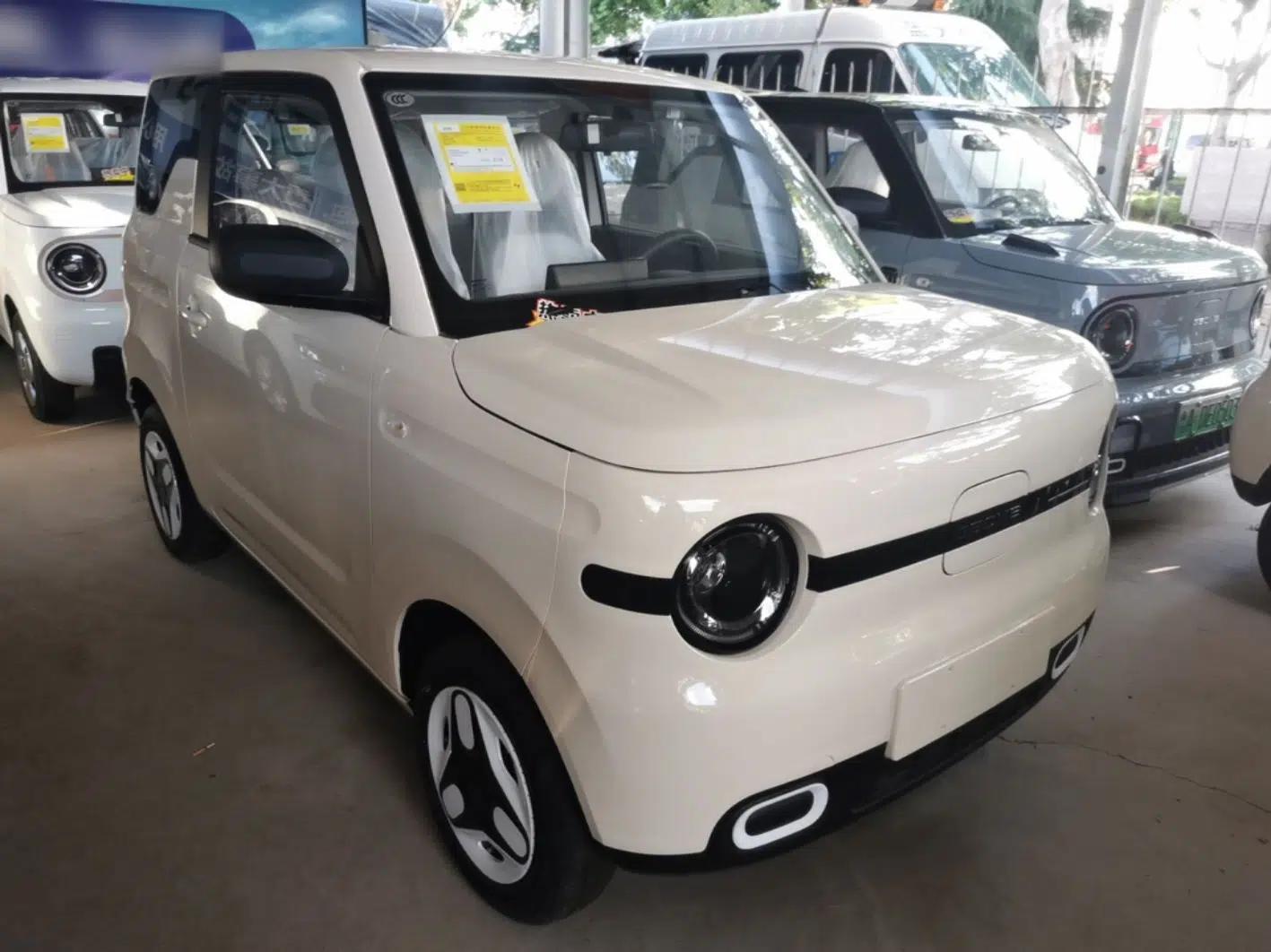 Geely Galaxy Panda 2025 210 km – Yuanqi Bear — миниатюра 3