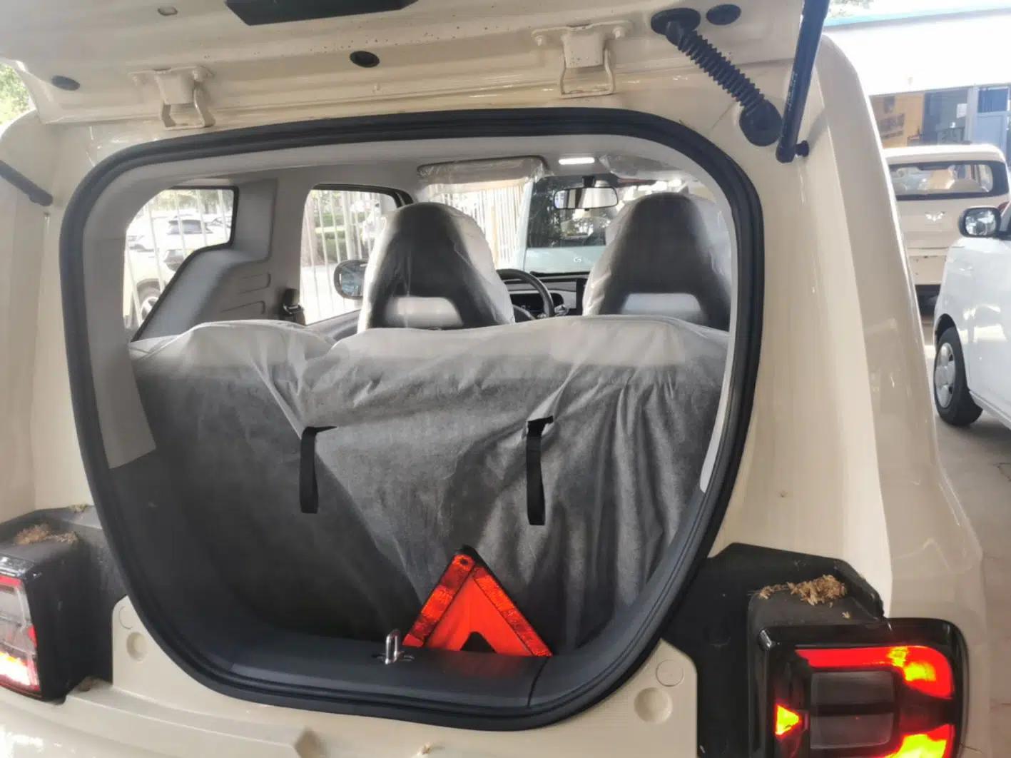 Geely Galaxy Panda 2025 210 km – Yuanqi Bear — миниатюра 22