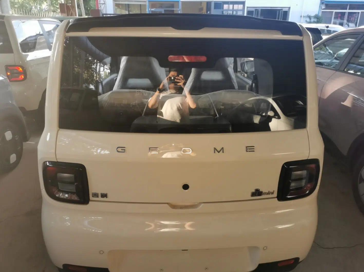 Geely Galaxy Panda 2025 210 km – Yuanqi Bear — миниатюра 5