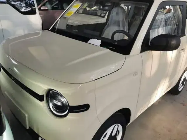 Geely Galaxy Panda 2025 210 km – Yuanqi Bear