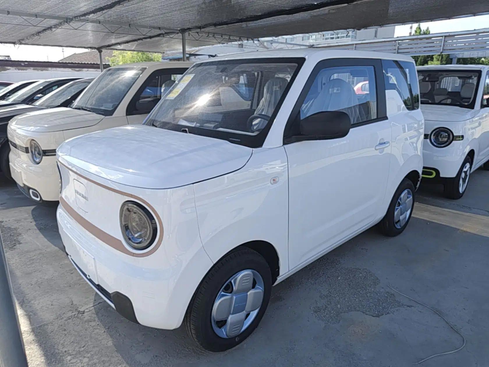 Geely Galaxy Panda 2024 Panda Mini 200km Endurance Bear — миниатюра 1