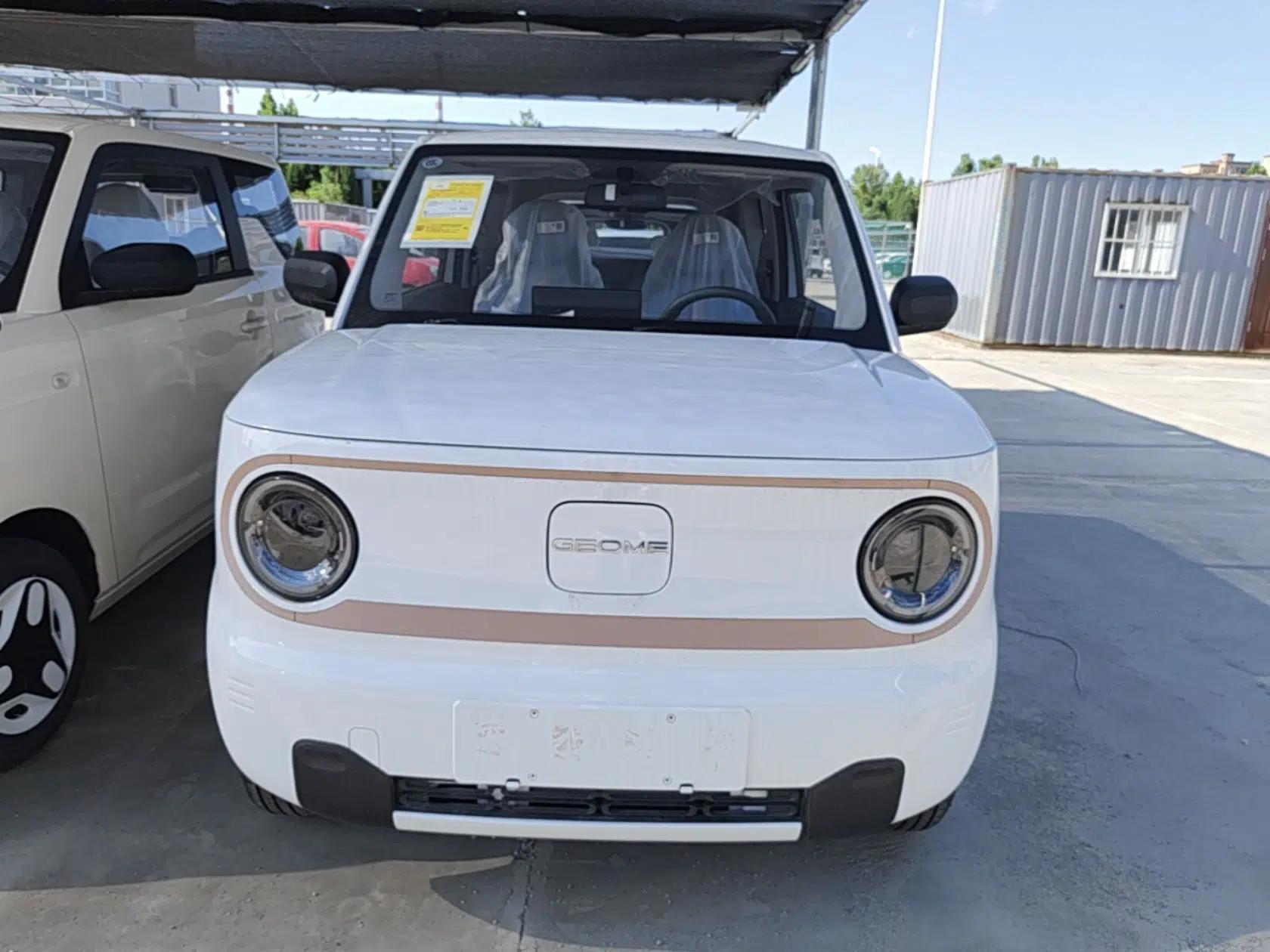Geely Galaxy Panda 2024 Panda Mini 200km Endurance Bear — миниатюра 2