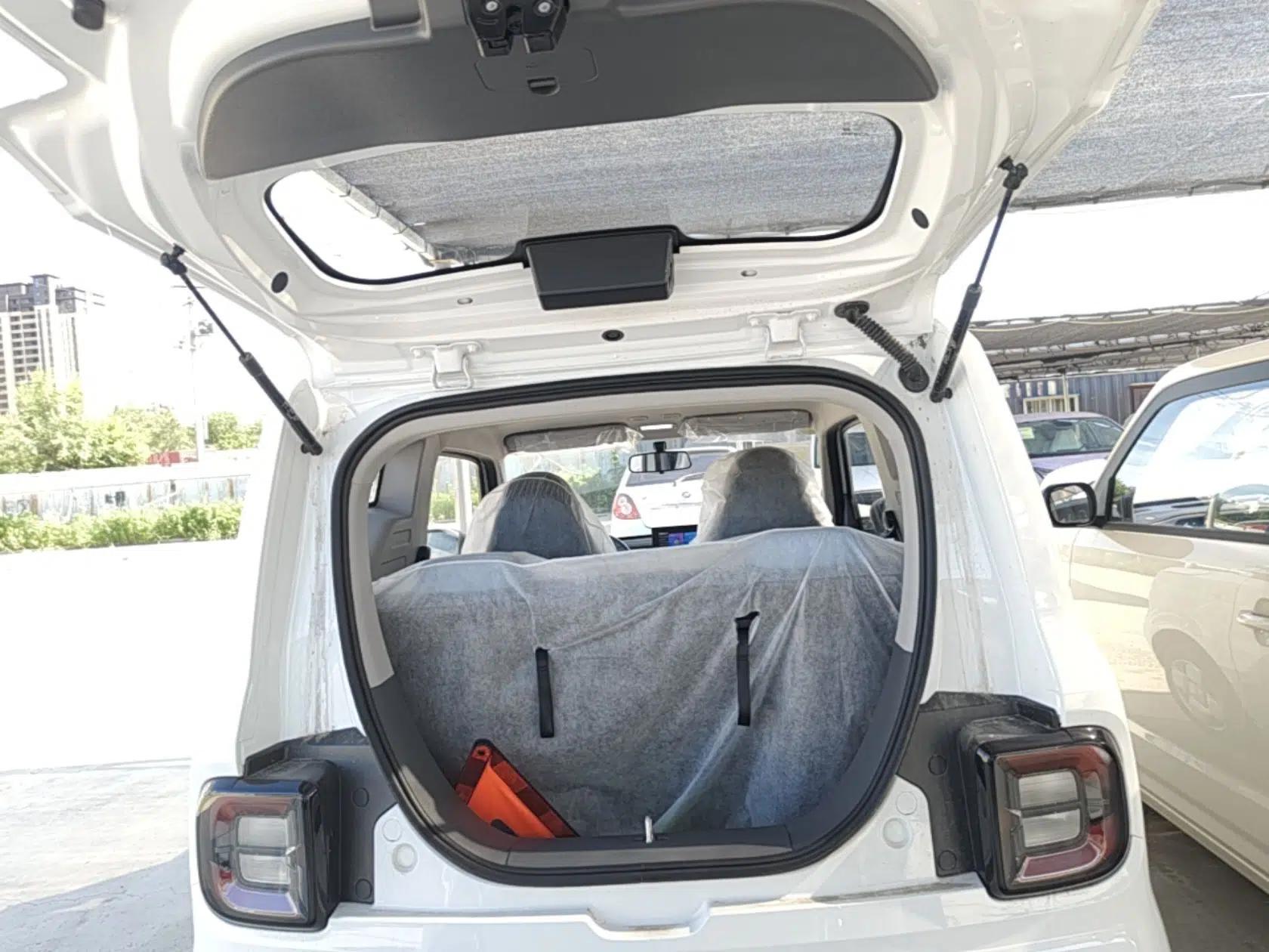 Geely Galaxy Panda 2024 Panda Mini 200km Endurance Bear — миниатюра 22