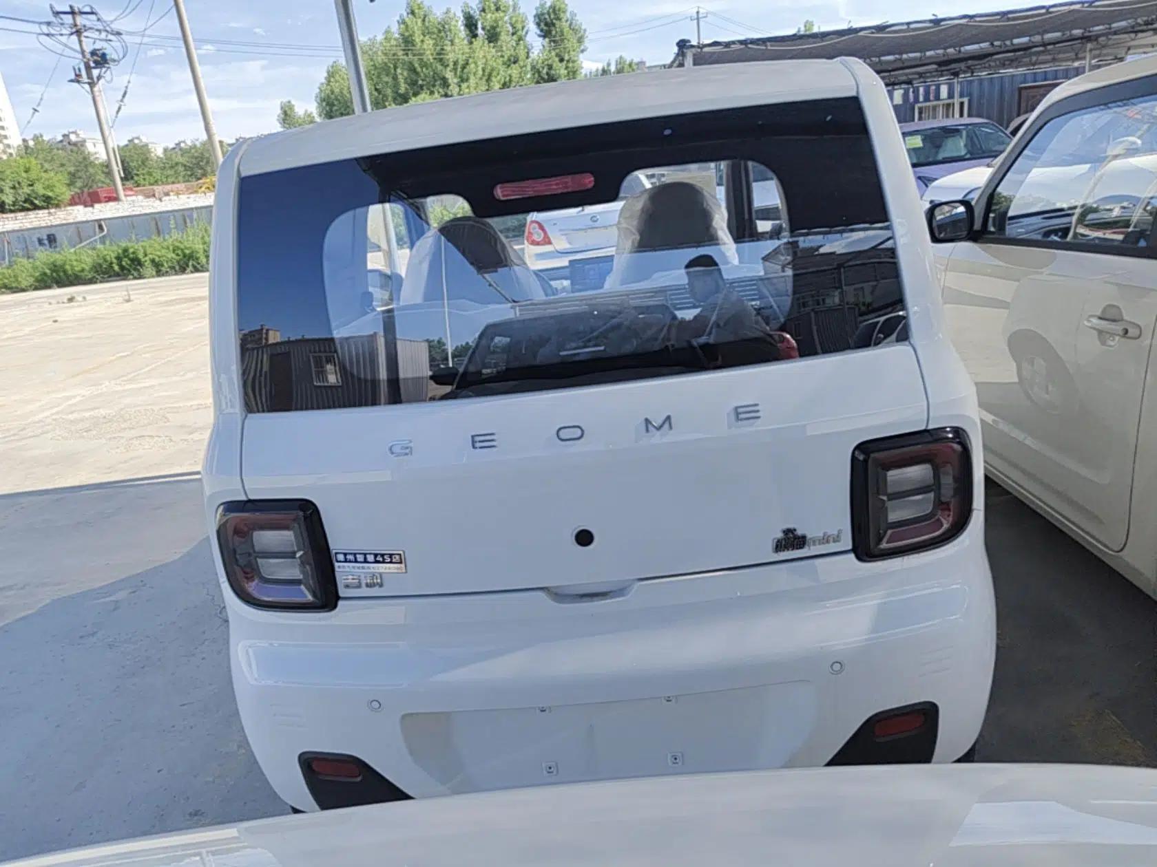 Geely Galaxy Panda 2024 Panda Mini 200km Endurance Bear — миниатюра 5