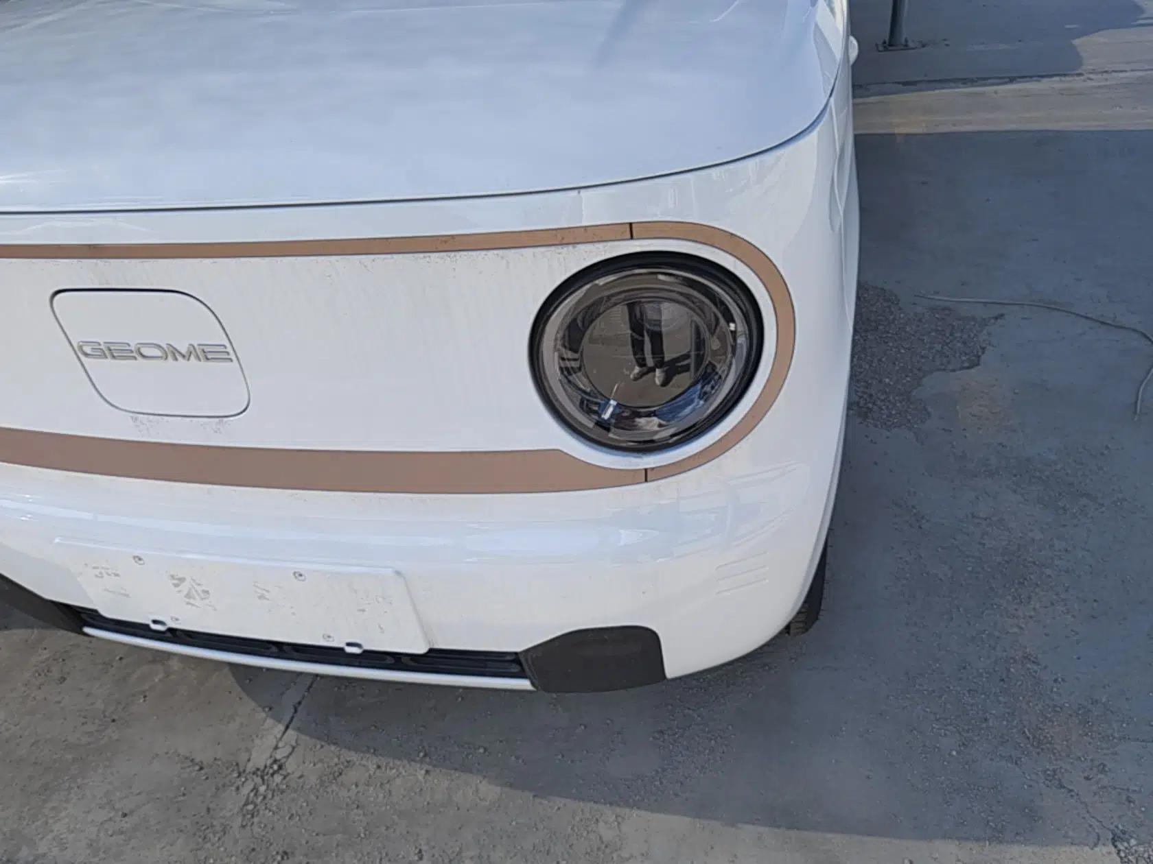 Geely Galaxy Panda 2024 Panda Mini 200km Endurance Bear — миниатюра 8