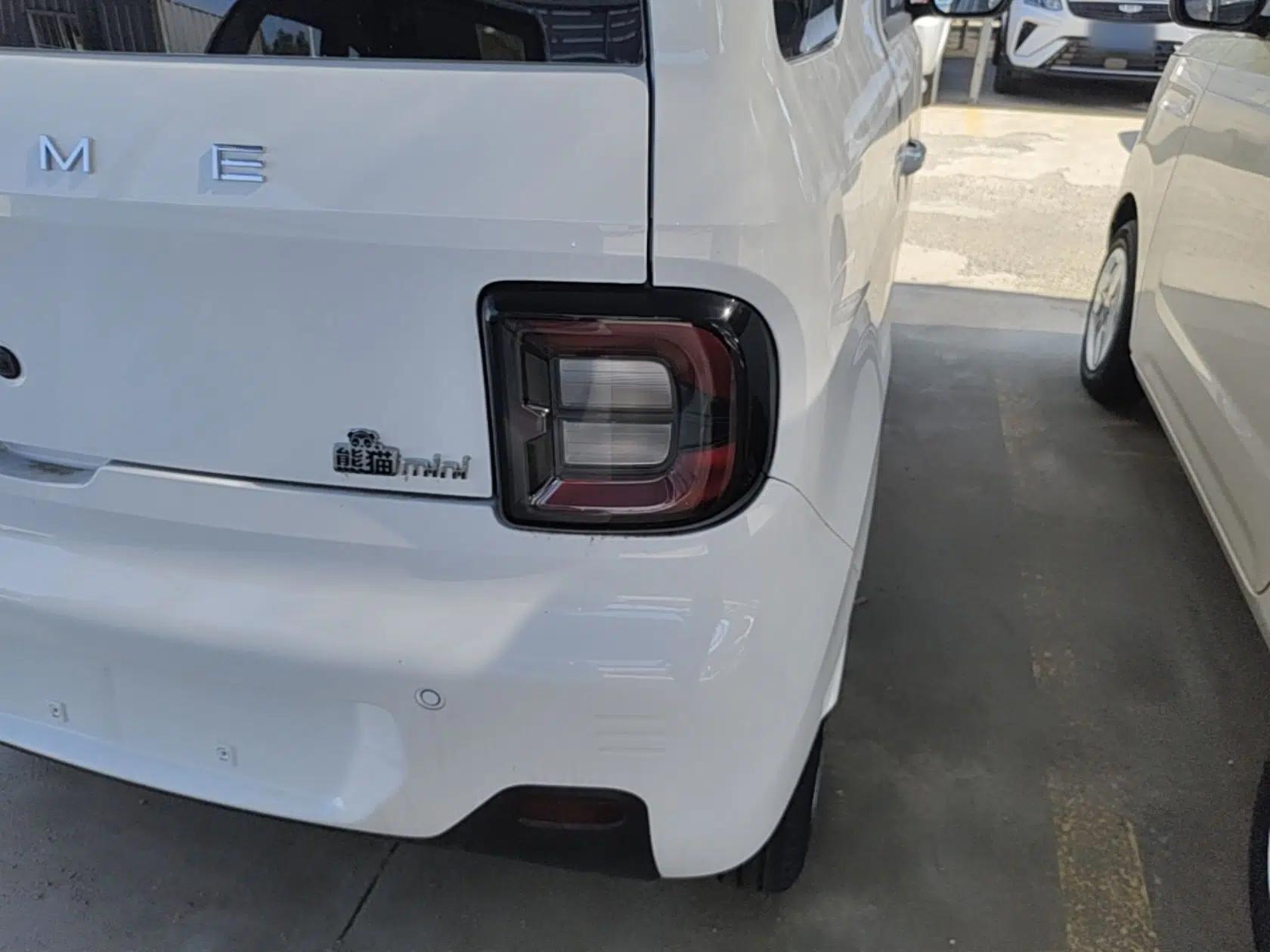 Geely Galaxy Panda 2024 Panda Mini 200km Endurance Bear — миниатюра 9