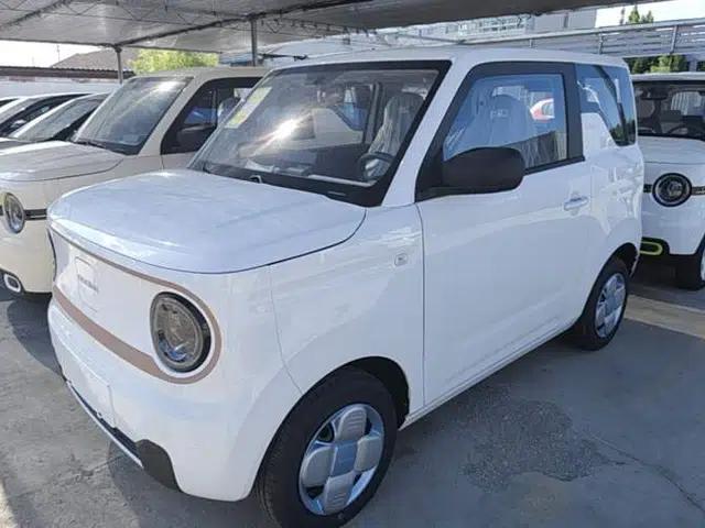Geely Galaxy Panda 2024 Panda Mini 200km Endurance Bear