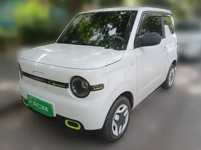 Geely Galaxy Panda 2025 210 km – Yuanqi Bear