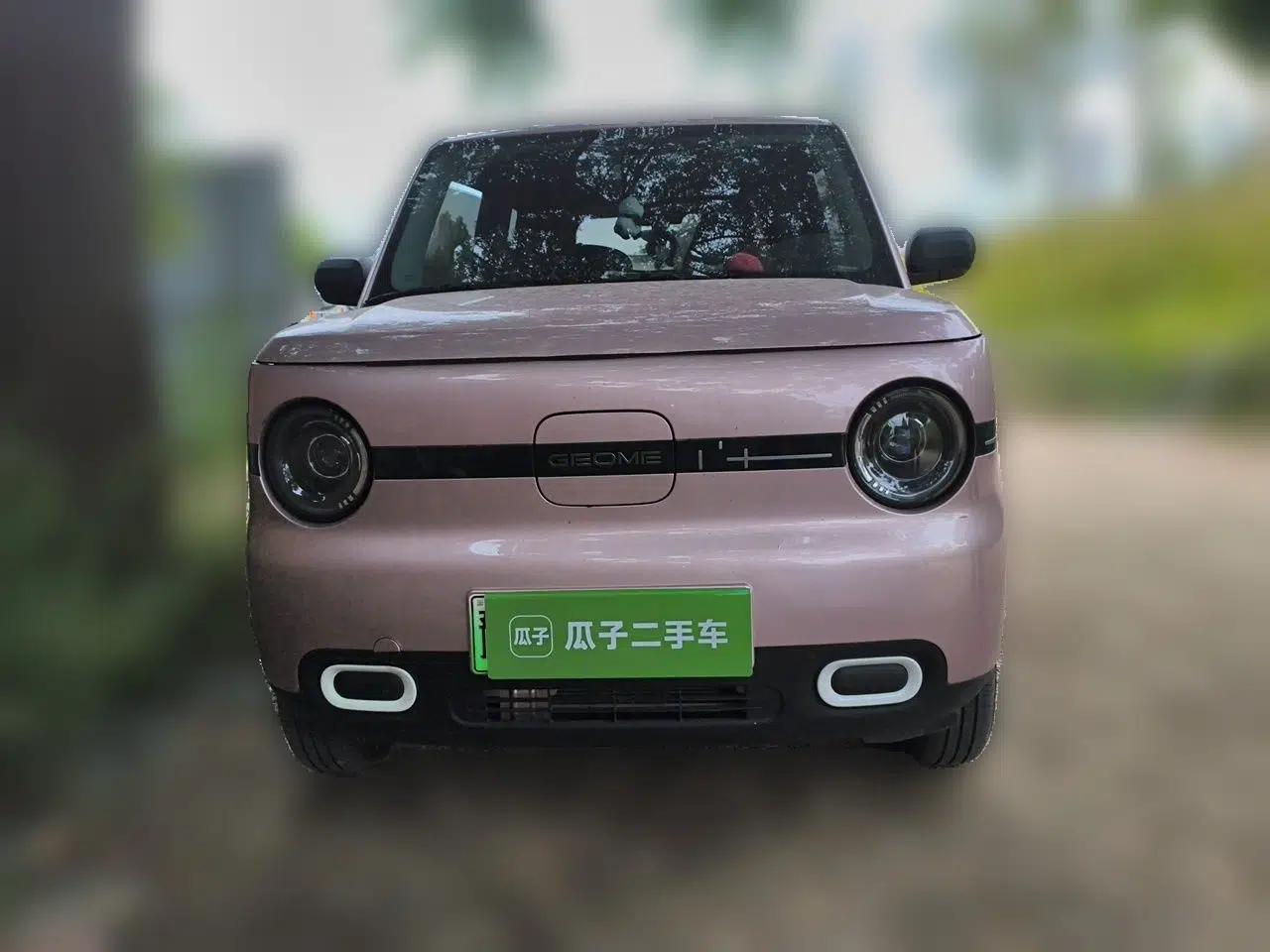 Geely Galaxy Panda 2025 210 km – Yuanqi Bear — миниатюра 2