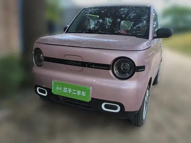 Geely Galaxy Panda 2025 210 km – Yuanqi Bear