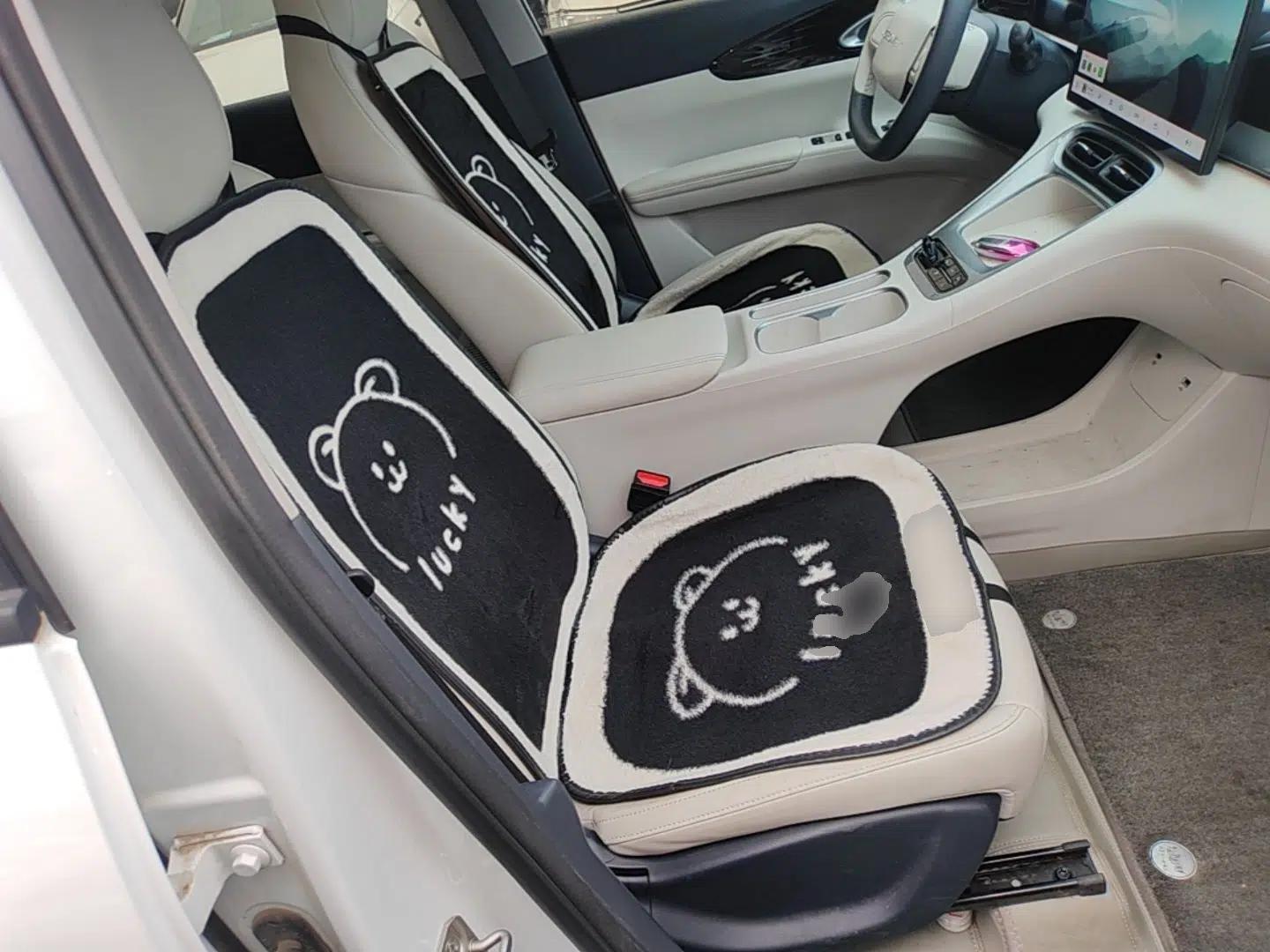Geely Galaxy Geome 2025 310km Dream Edition — миниатюра 19