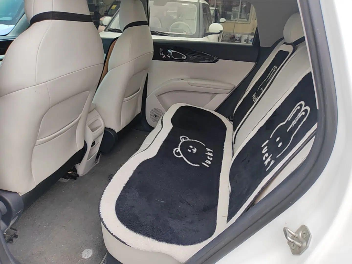Geely Galaxy Geome 2025 310km Dream Edition — миниатюра 20