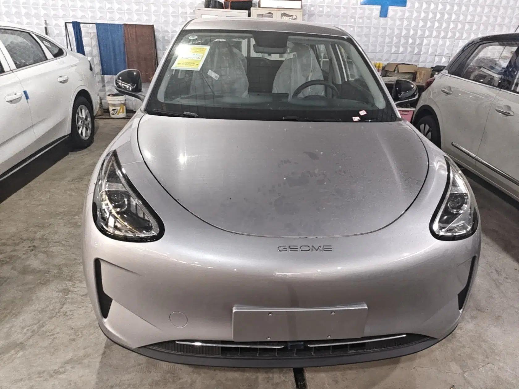 Geely Galaxy Geome 2026 Model 310km Youth Edition — миниатюра 2