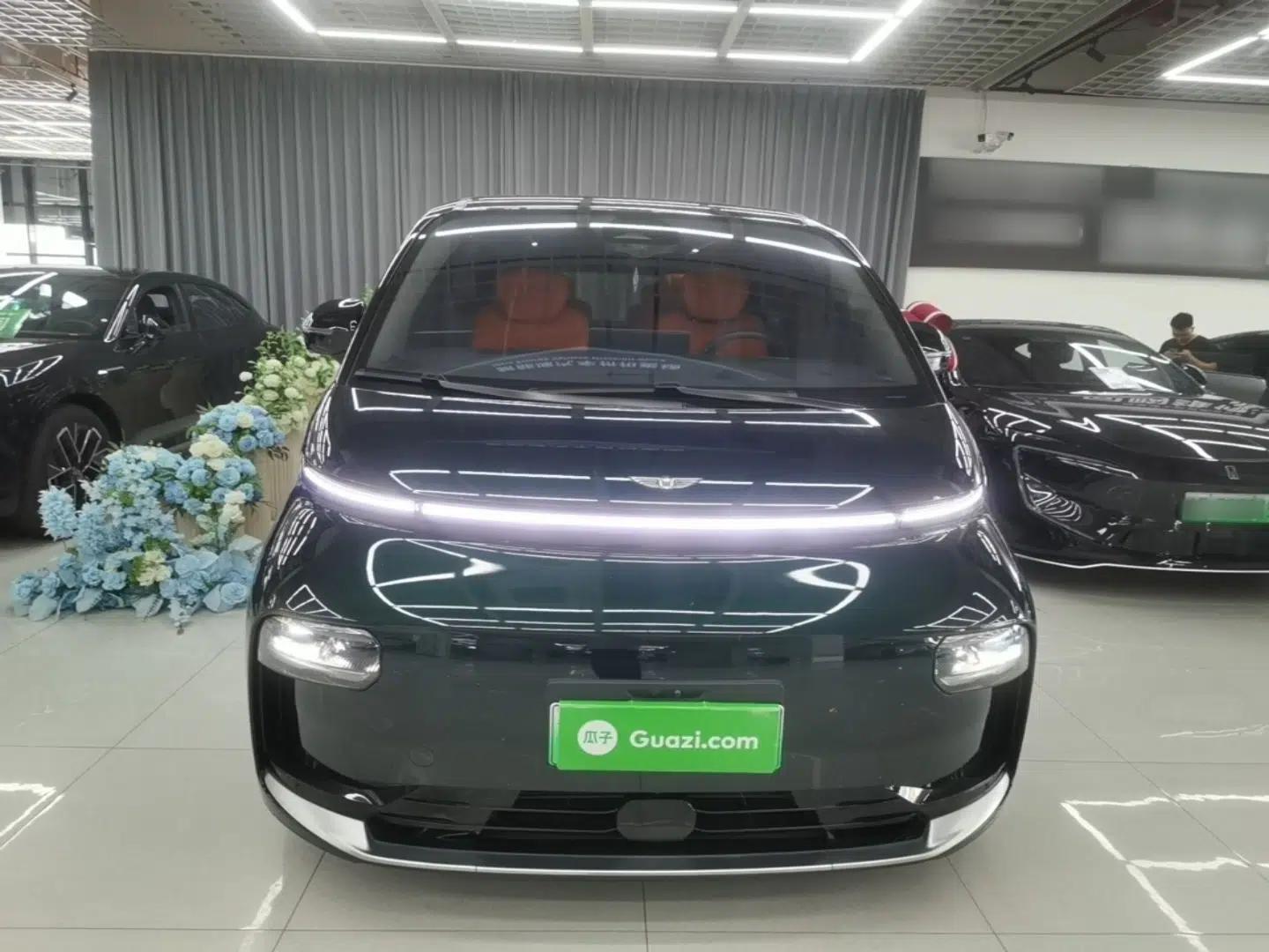 Geely Galaxy LEVC L380 2024 116 Degrees 6 Seats Two-Wheel Drive Pro — миниатюра 2