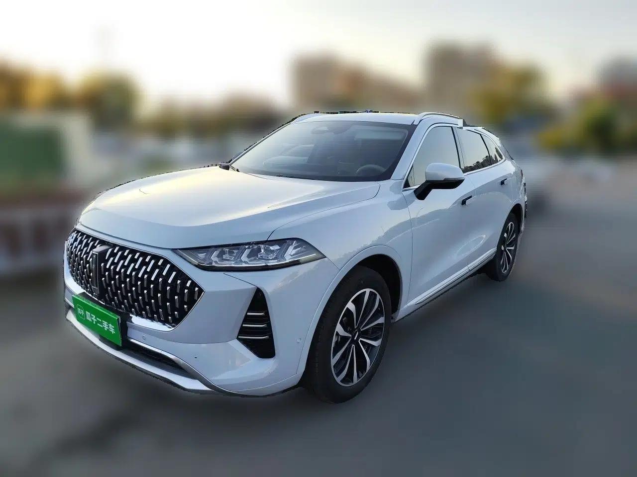 Wey Mocha 2021 2.0T Two-Wheel-Drive Premium Edition — миниатюра 1