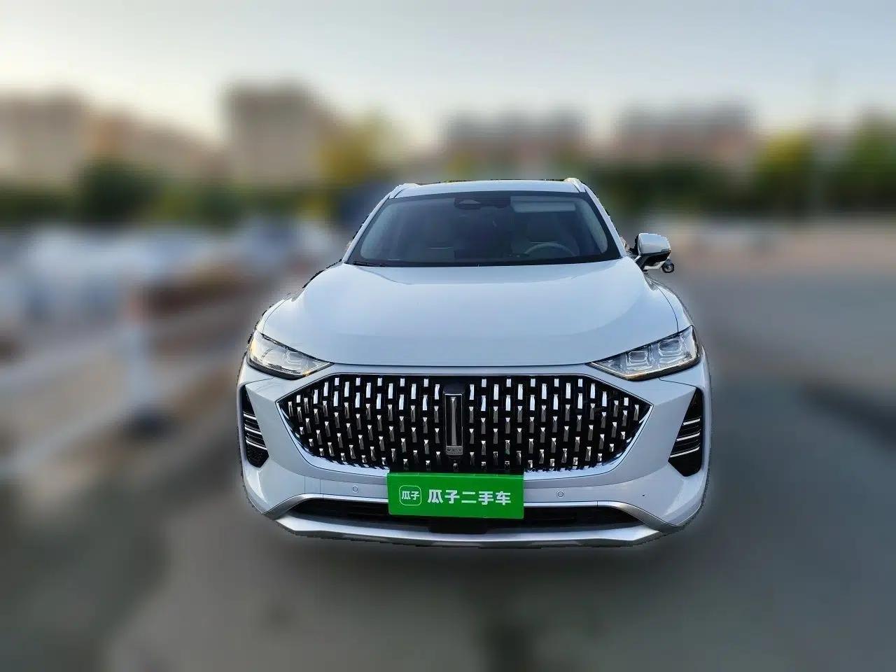 Wey Mocha 2021 2.0T Two-Wheel-Drive Premium Edition — миниатюра 2