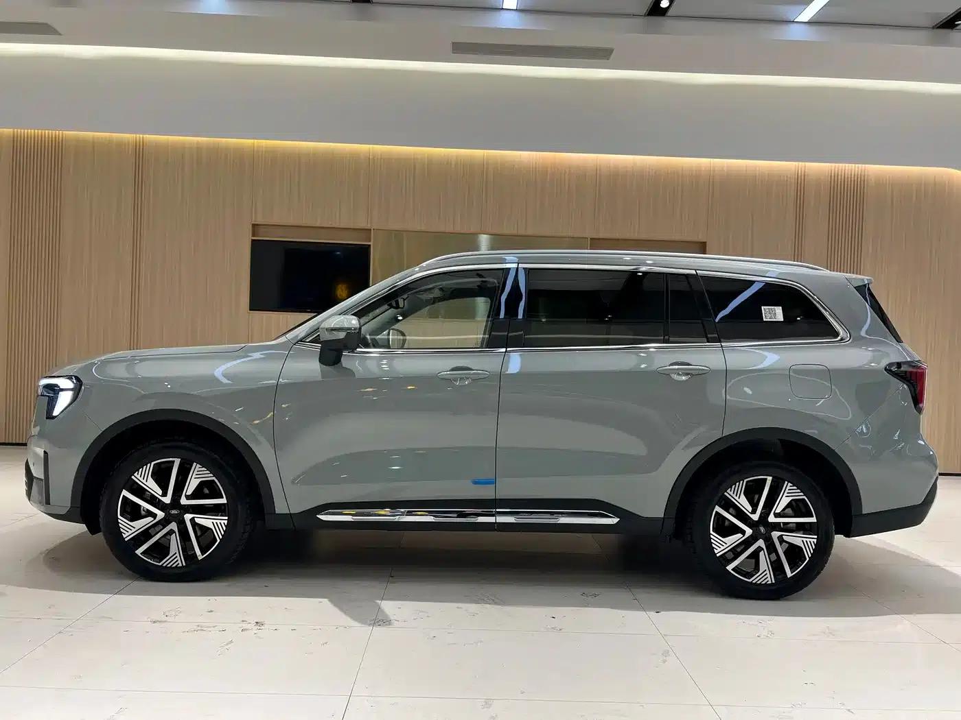 Lingyu New Energy 2025 Premium Edition — миниатюра 7
