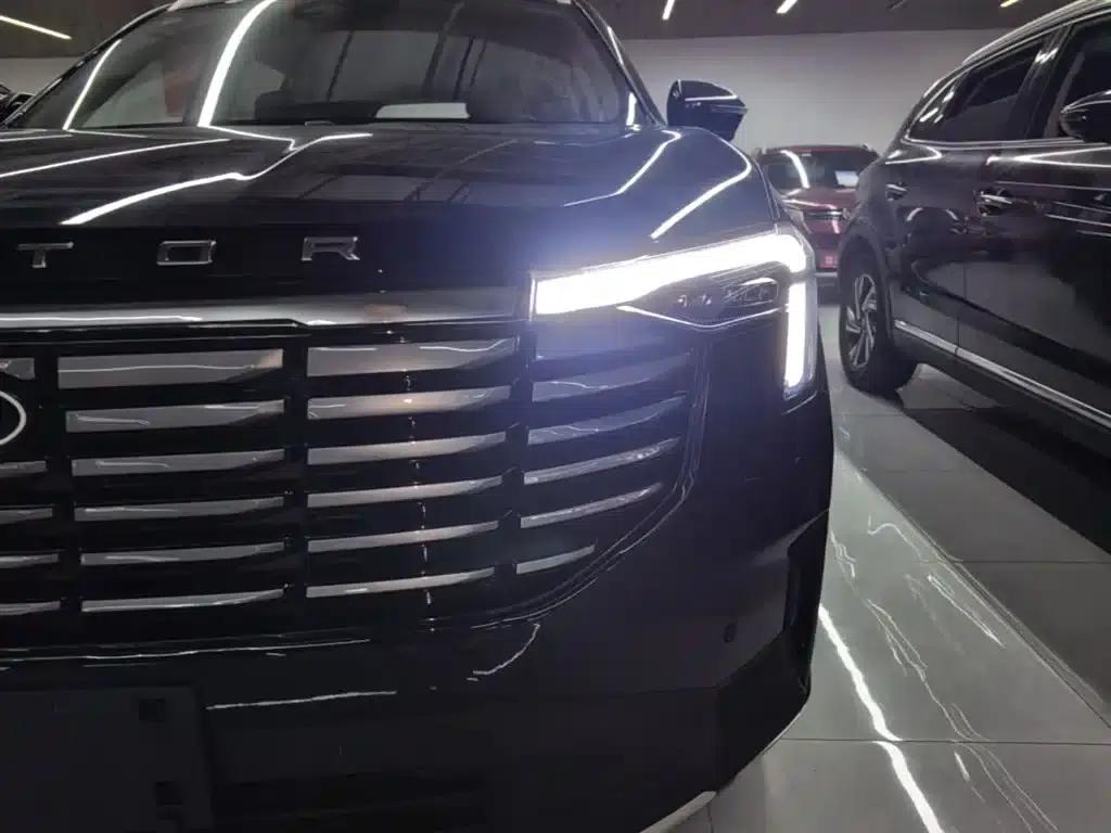 Lingyu New Energy 2025 Platinum Edition — миниатюра 24