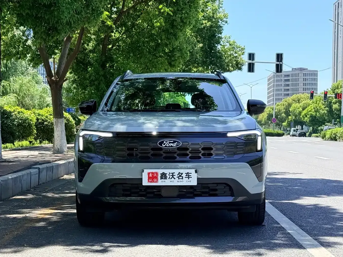 Lingrui New Energy 2025 Platinum Edition — миниатюра 2