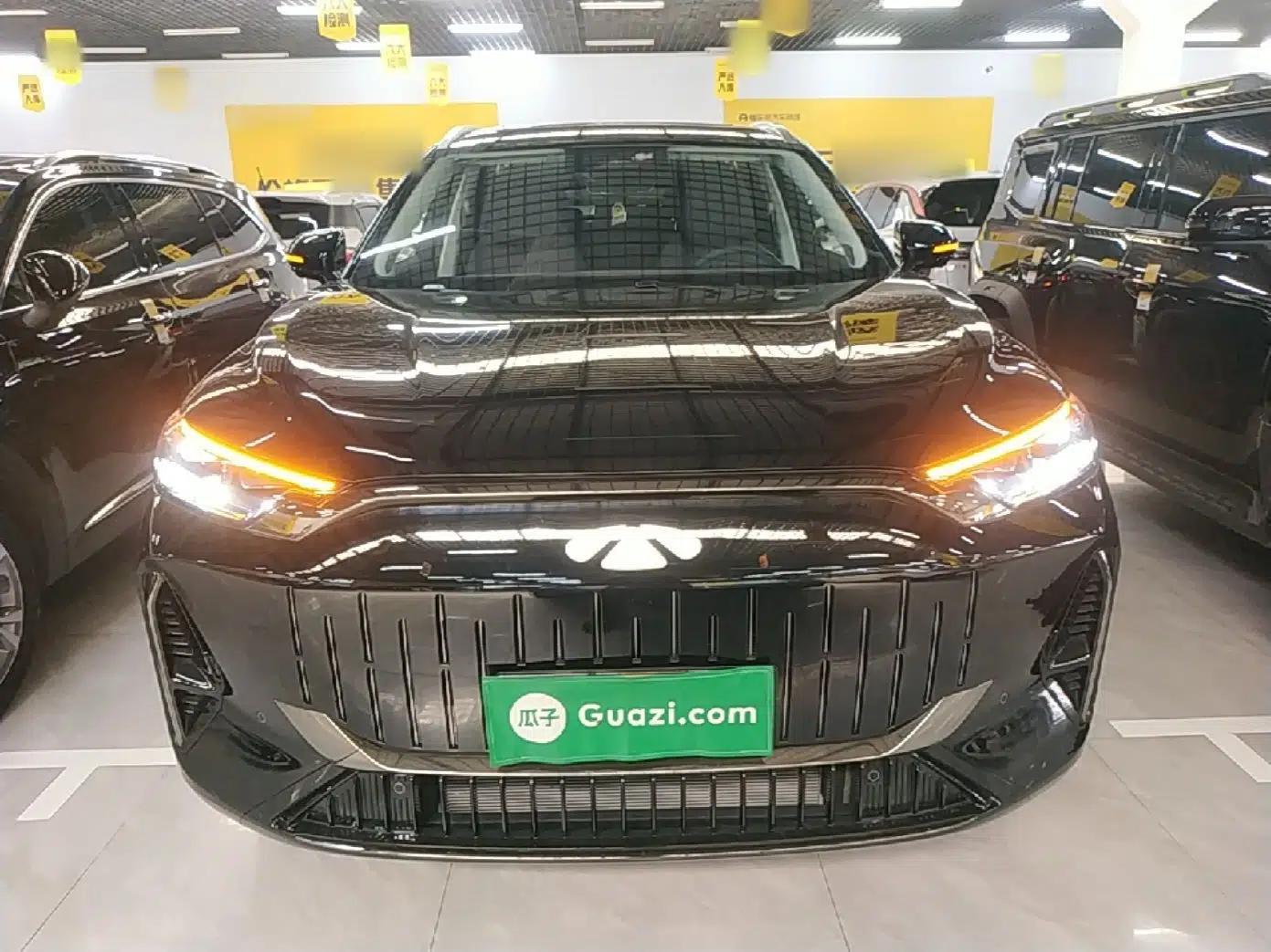 Chery Fengyun T10 2024 210 Luxury Edition — миниатюра 2