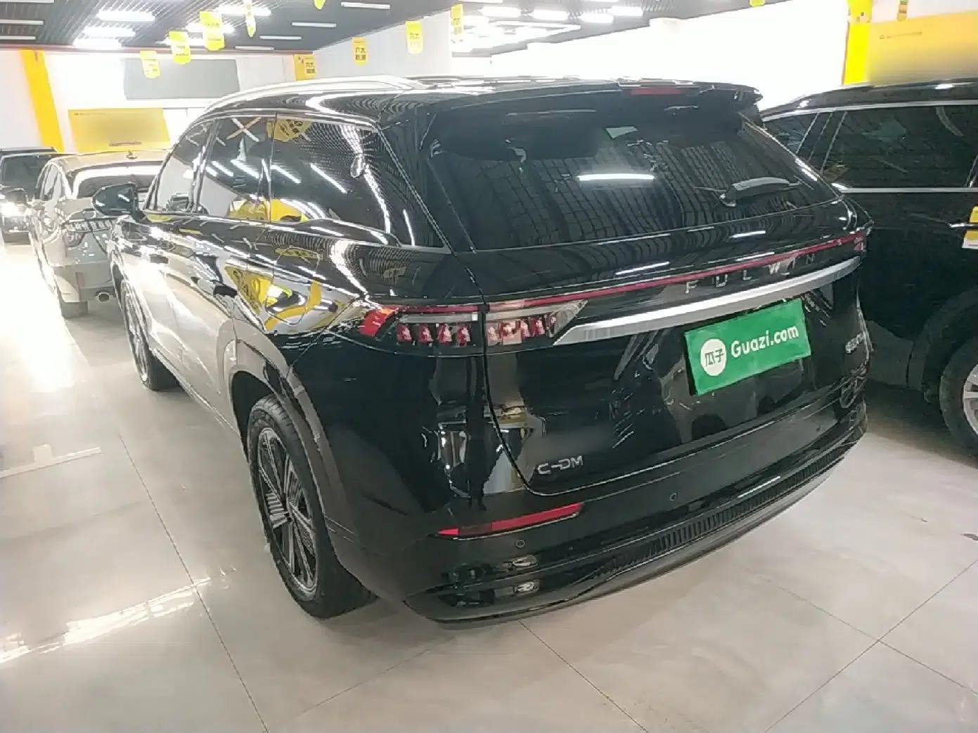 Chery Fengyun T10 2024 210 Luxury Edition — миниатюра 13