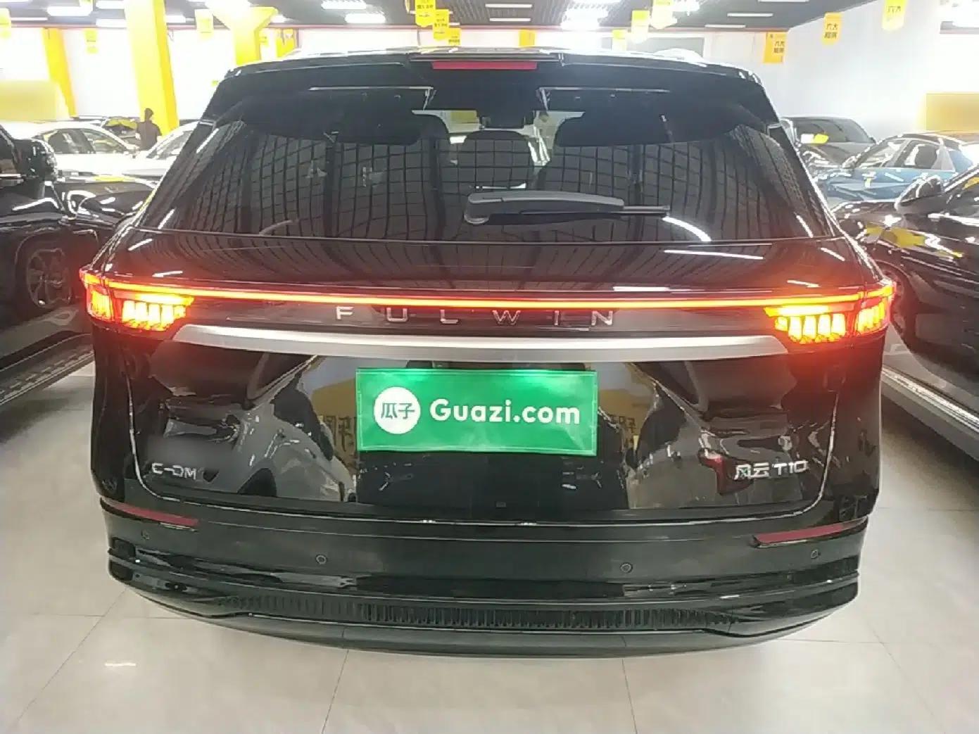 Chery Fengyun T10 2024 210 Luxury Edition — миниатюра 5