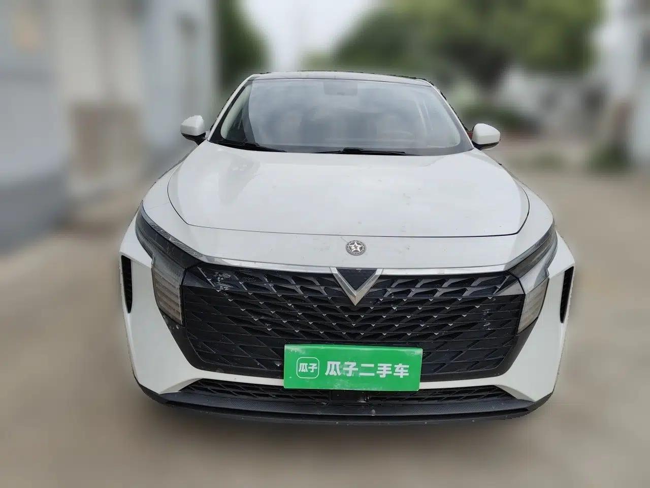 Venucia V 2021 260T Idol Edition — миниатюра 2