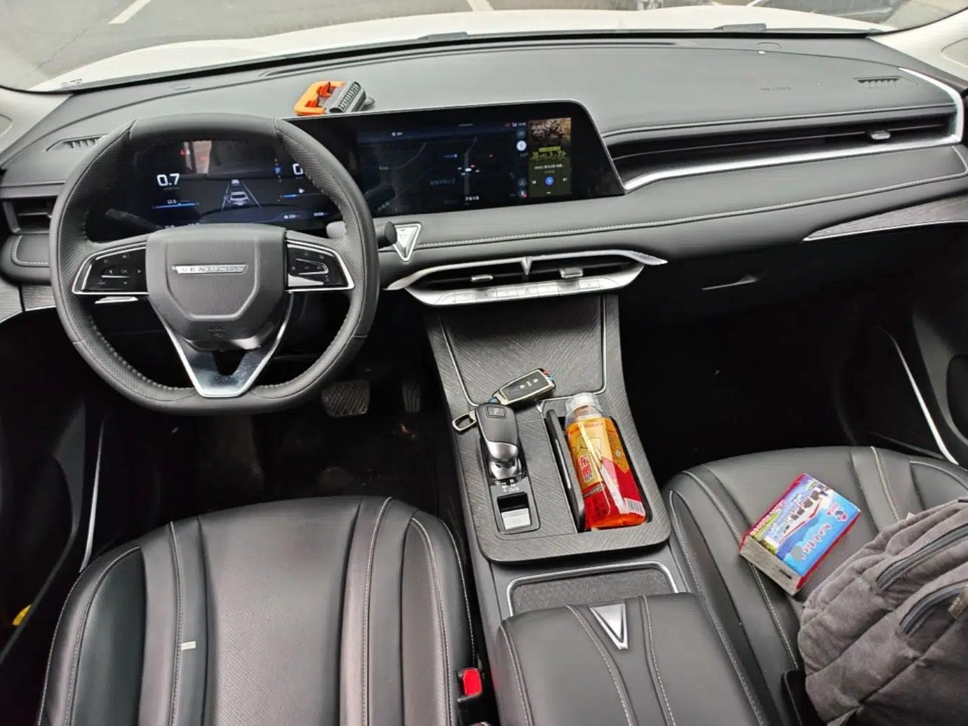 Venucia V 2021 260T Tianwang Edition — миниатюра 12