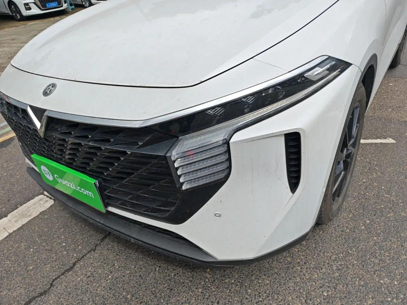 Venucia V 2021 260T Tianwang Edition — миниатюра 8
