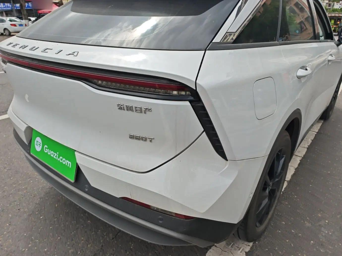 Venucia V 2021 260T Tianwang Edition — миниатюра 9