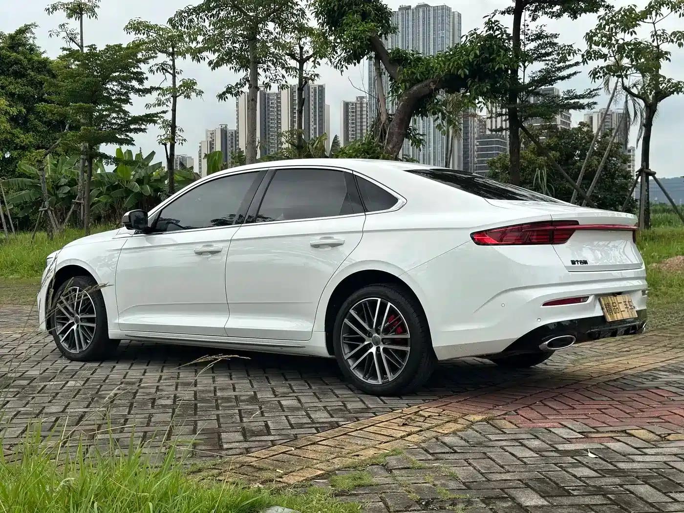 Xingrui 2023 2.0TD Premium Edition — миниатюра 5