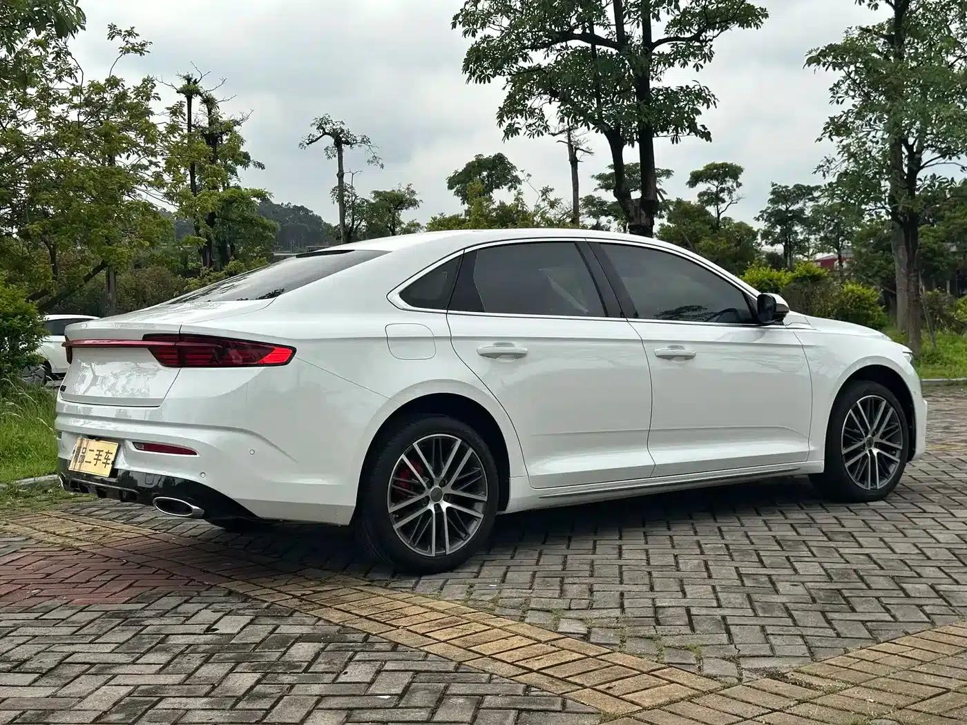 Xingrui 2023 2.0TD Premium Edition — миниатюра 6