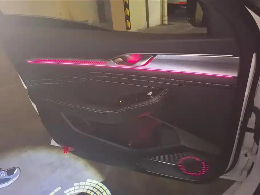 Xingrui 2023 2.0TD Luxury Edition — миниатюра 7